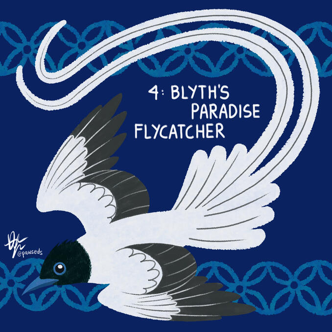 No render full-body ($15) + background ($5)