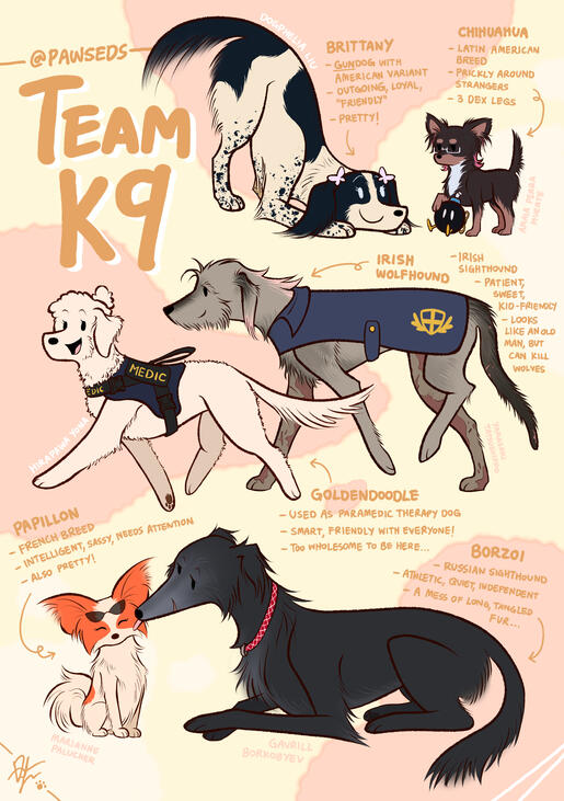 Team K9